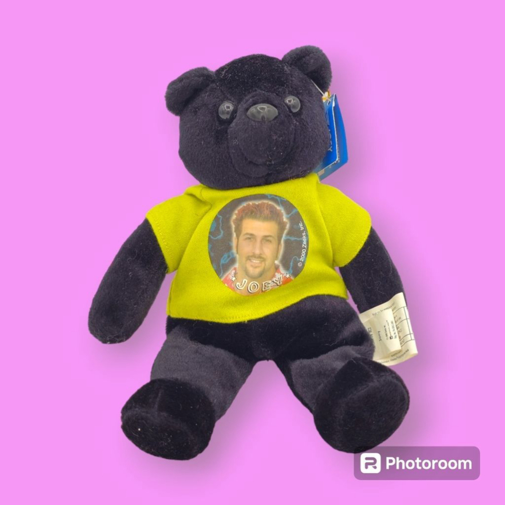 Vintage 2000 Joey NSYNC Limited Edition Rare Bear 'N SYNC WITH YOU Plush